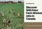 $40/Hour Farm Worker Jobs In Canada With Visa Sponsorship