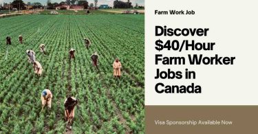 $40/Hour Farm Worker Jobs In Canada With Visa Sponsorship