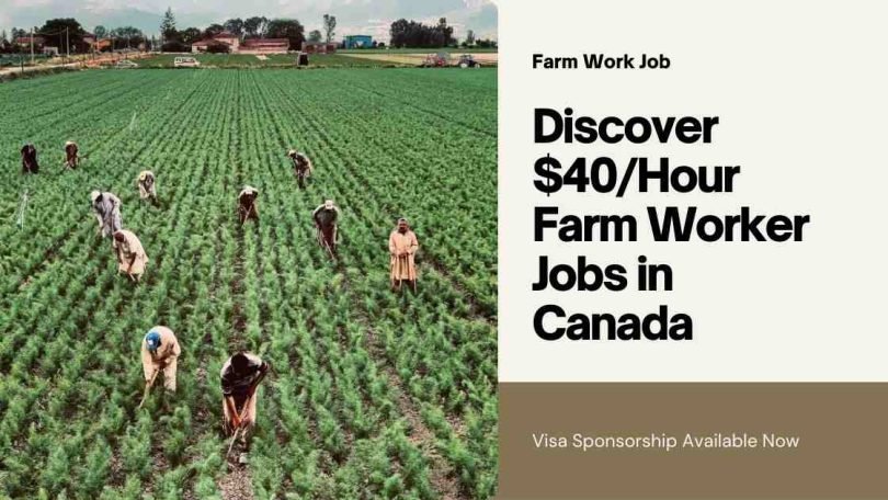 $40/Hour Farm Worker Jobs In Canada With Visa Sponsorship